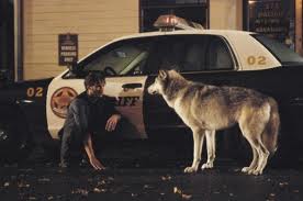 wolf